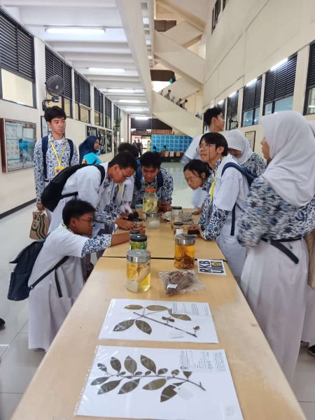 WhatsApp Image 2024-10-10 at 20.24.34_b116612b